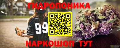 ECSTASY Камышлов