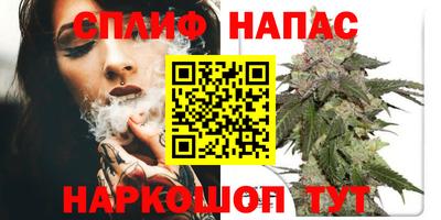 ECSTASY Камышлов